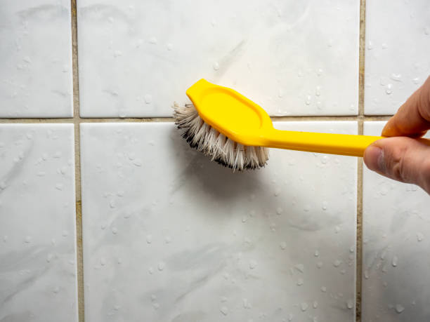 Best Attic Mold Removal  in Freeman, SD