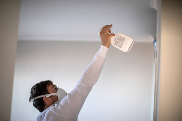 Best Residential Mold Removal  in Freeman, SD