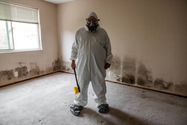 Best Mold Testing and Removal  in Freeman, SD